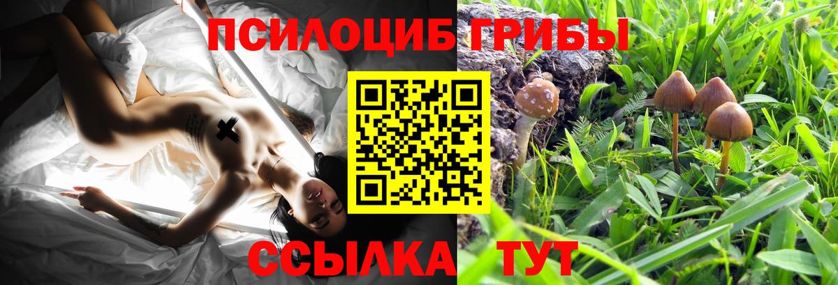 Псилоцибиновые грибы GOLDEN TEACHER  Вход с VPN  Галлюциногенные грибы Psilocybe  Дубна 