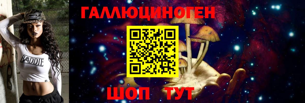 Псилоцибиновые грибы прущие грибы Дубна